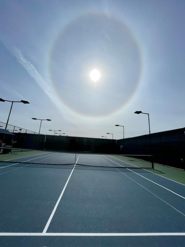 Barb's Halo by Elyse Wyman, Image 1.
