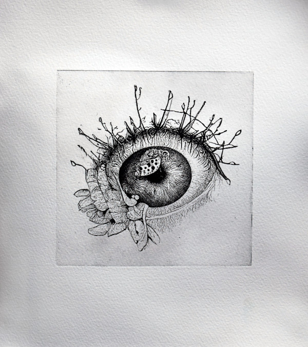 Eye of Nature by Karen Fiorito