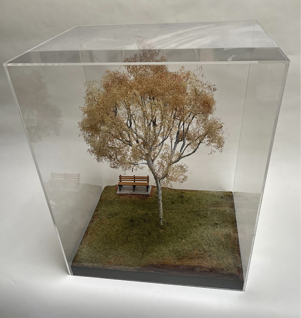 Birch tree in Plexi case by Gary Polonsky
