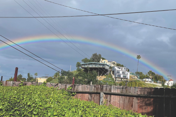 Boyle Heights Pot 'O Gold by Elyse Wyman