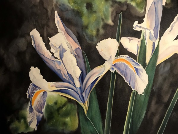 Irises by Alice Burger