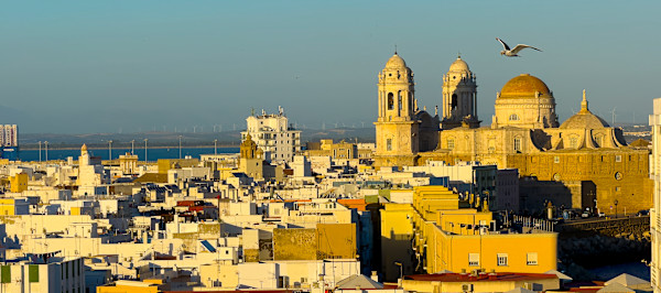 Cathedral Panorama with Seagull by Lee Cooper