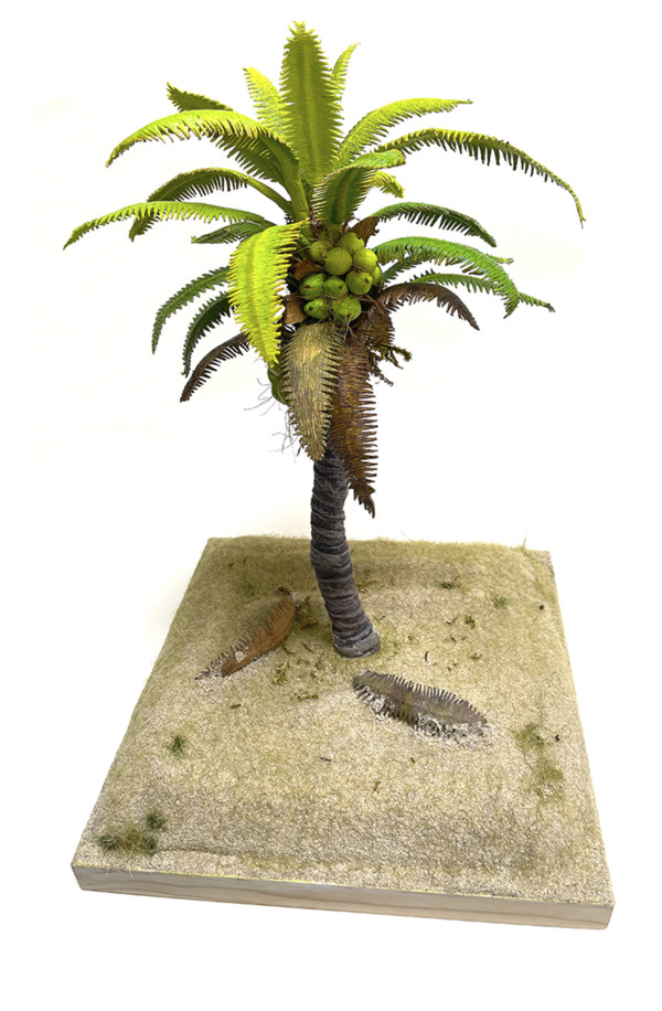 Coconut Palm tree by Gary Polonsky