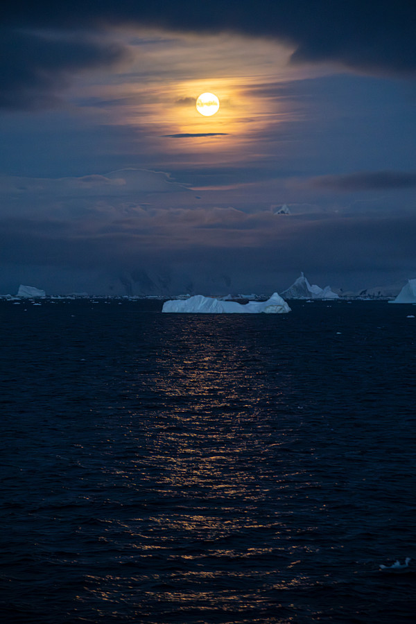 Antarctic Iceberg in Moonlight by Steven Lopez