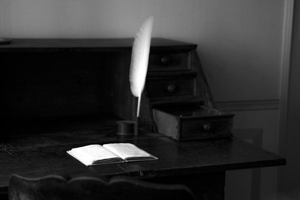 Quill by Nicole Simon