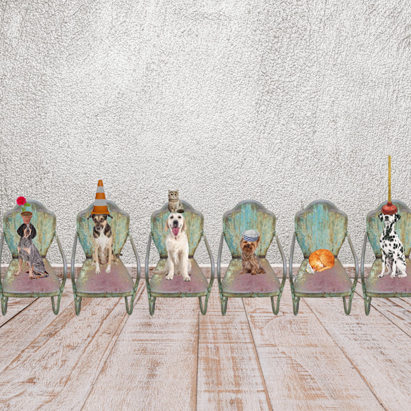 Dogs on Chairs with Hats by Wendy Tigerman