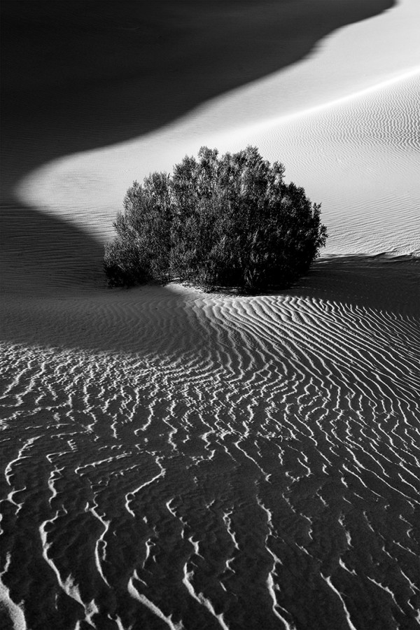 Death Valley Yin & Yang by Eric Renard