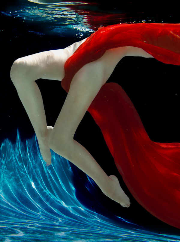 Flight of Fancy by Dan Katz, Image 1.