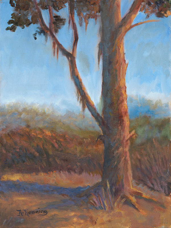 Will Rogers State Park by Andrew Henning, Image 1.