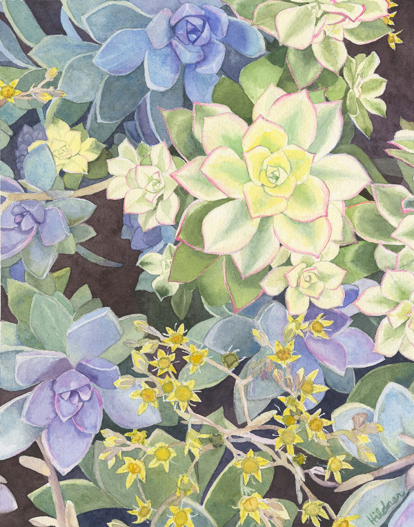 Succulent Mix by Kelly Hildner