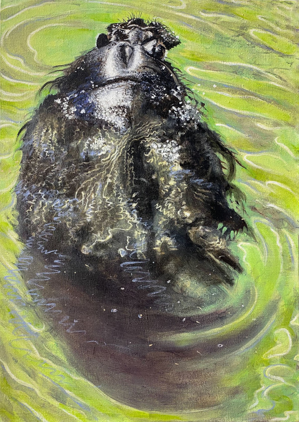 Hippopotamus by Lynette K. Henderson
