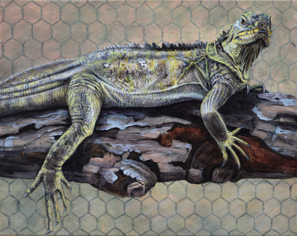 Iguana by Lynette K. Henderson