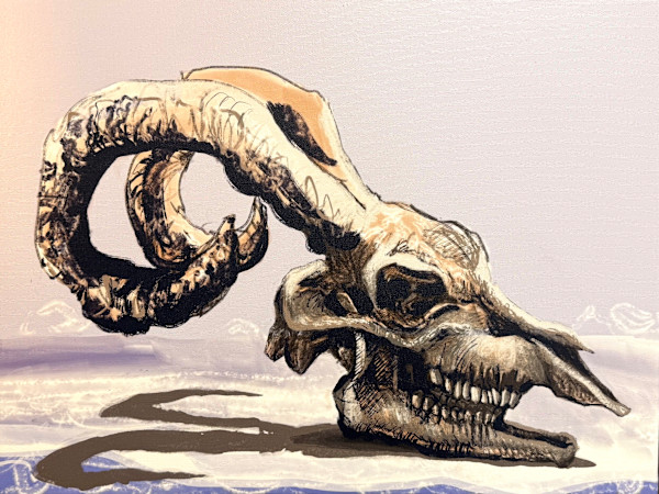 Ram Skull by David Stewart Klein
