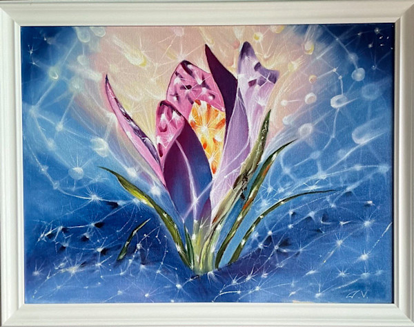 Shining Crocus. by Galina Veretenova, Image 1.
