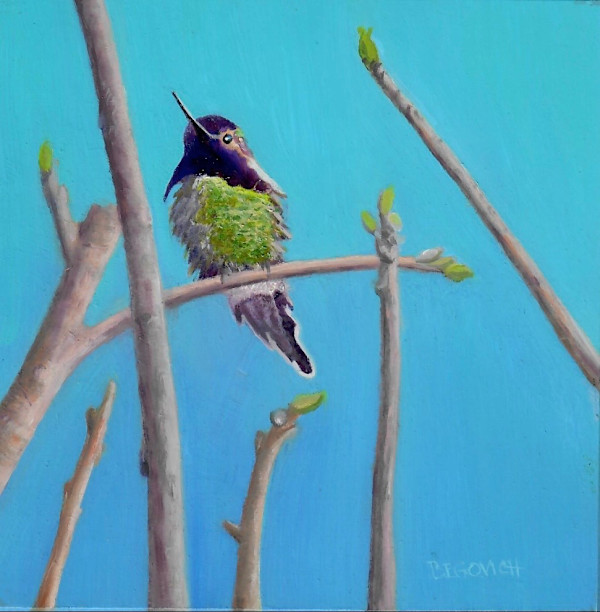 Hummingbird at Rest (Patrice Begovich) by Collymore Oil Painters Atelier, Image 1.