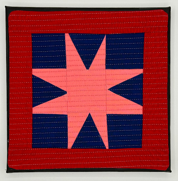 Starry Night by Barbara Danzi