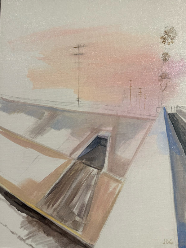 Pink Wash (Canoga Park) by Jackie Goldberg