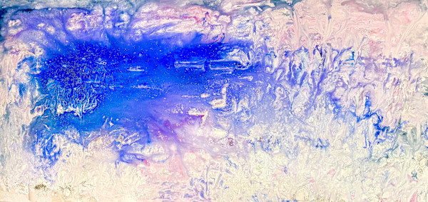 The Last Glacier by Christine Forest