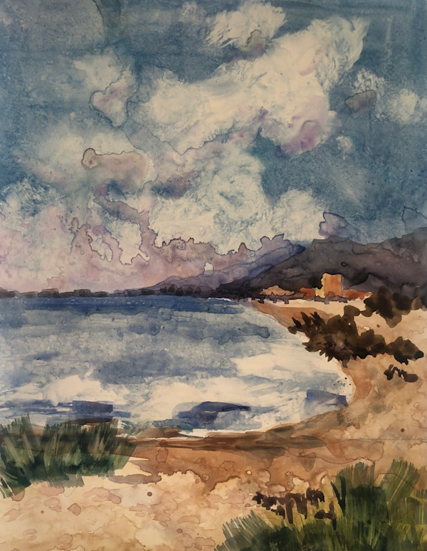 Shoreline, Ventura by Shelley Lazarus