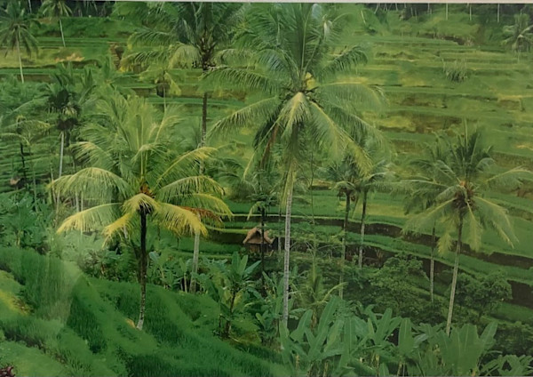 Bali by Michael Becker
