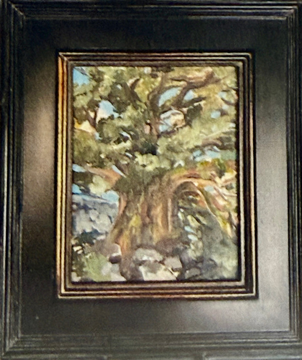 Kristin Boles, “Old Growth.” by Mel Smothers