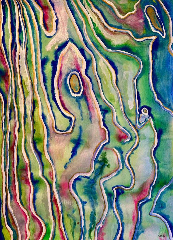 Abalone Dream by David Lang