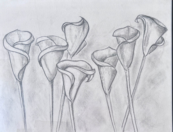 7 Callas in Black & White by David Phelps