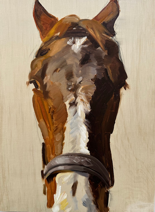 Vinny by Jackie Goldberg, Image 1.
