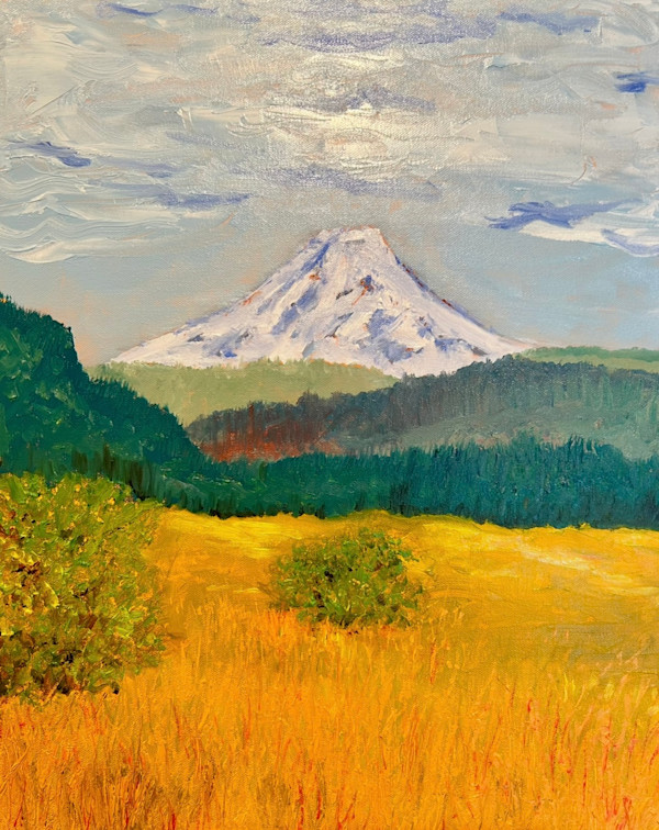A view of Mount Adams, Washington by David Lang