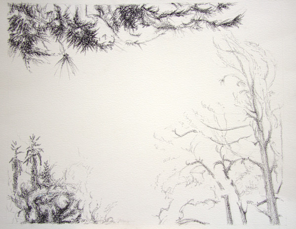 Light Tree by Victoria Loschuk
