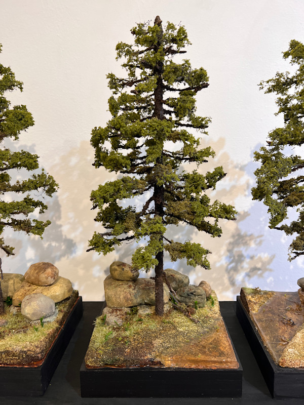 3 Pine trees (B) by Gary Polonsky