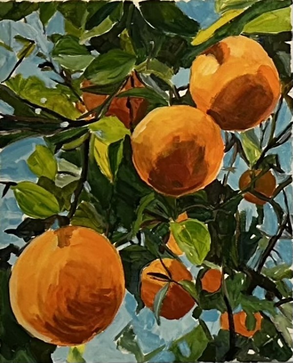 E’s Oranges by Jackie Goldberg