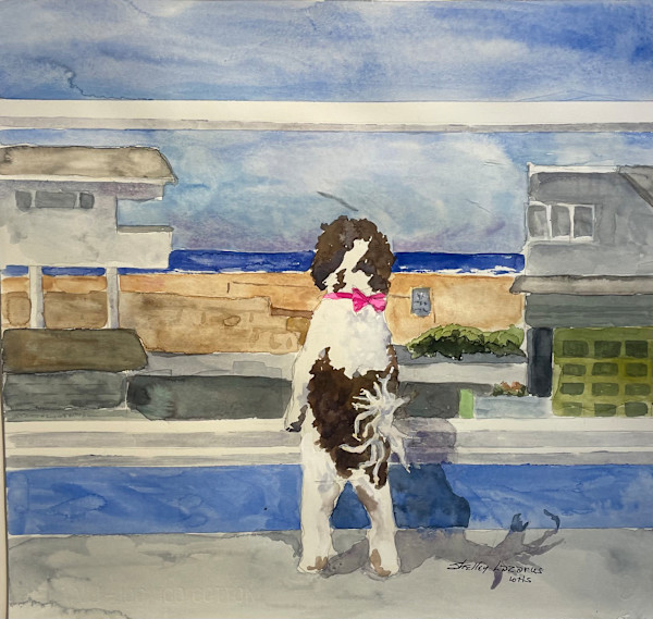 Molly's World by Shelley Lazarus
