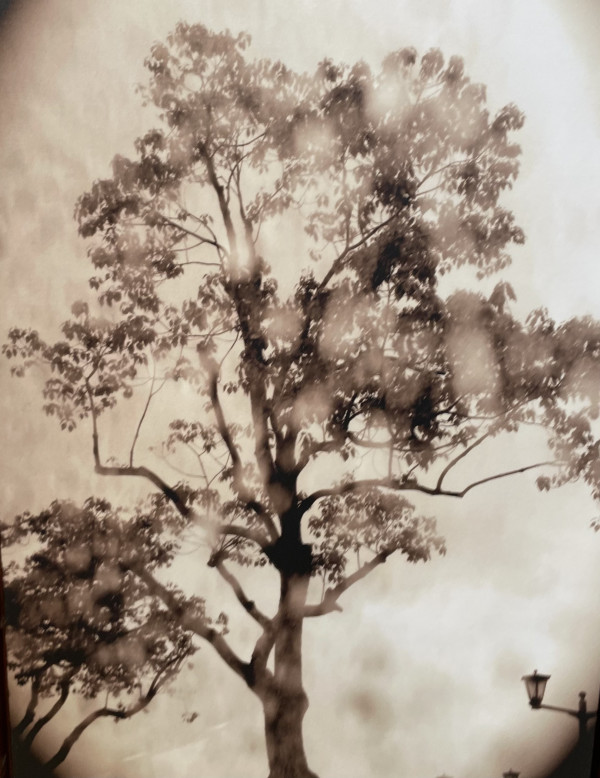 Hiroshima Screen by Karen Safer