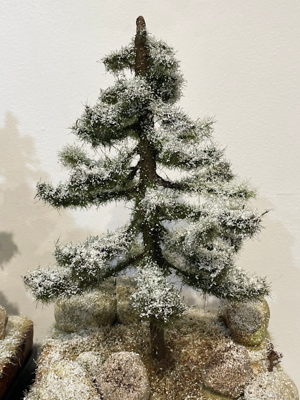 First Snow Pine Tree (A) by Gary Polonsky
