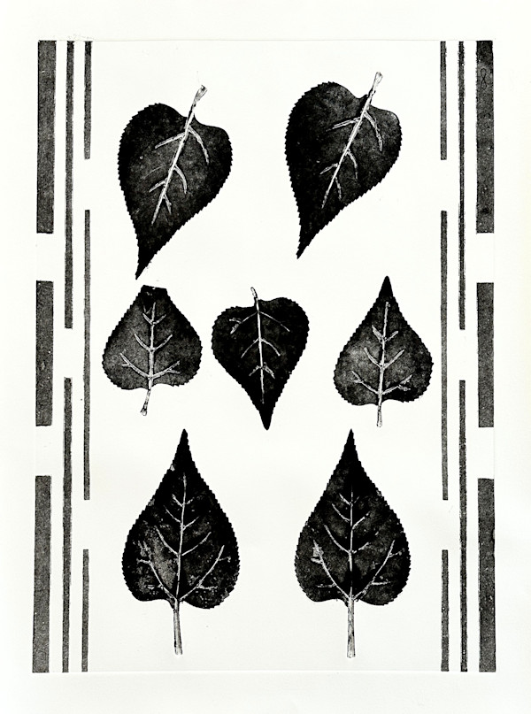 High Contrast by Susan Spector