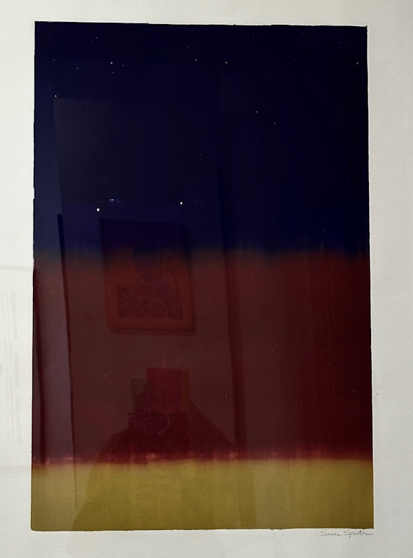 Tri Colored #2 by Susan Spector