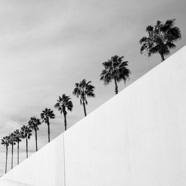 In Line at LACMA by Eric Renard