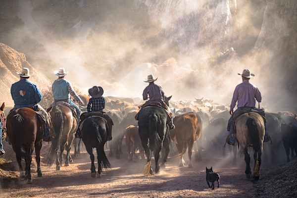 The Cattle Drive by Joe Doherty