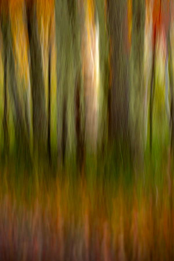 To to the light by Joe Doherty