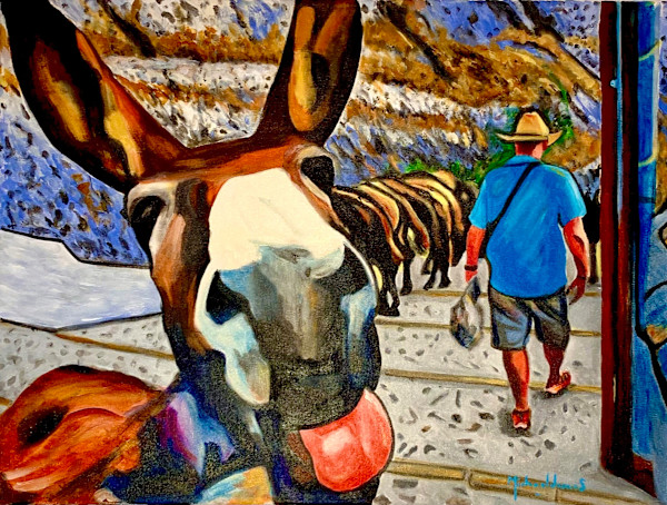 “Portrait of a Donkey”or“Santorini Almost Killed Me” - 3rd Place by Michael James