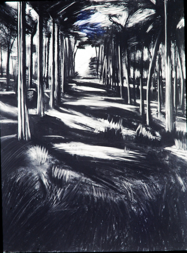 Peg’s Woods - Drawing, Honorable Mention by Lydia Kann