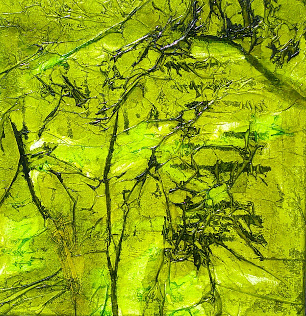 A TWIG OR TWO by Katy Bishop