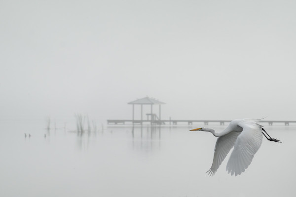 Lake Placid, Florida (2 of 9) by Mark Indig