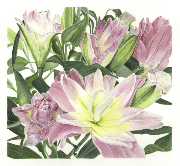Lots of Lilies by Sally Jacobs