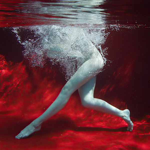 Linnea Abstraction by Dan Katz, Image 1.
