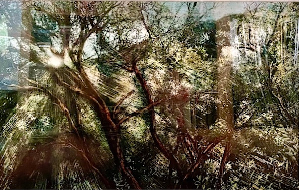Malibu Gold #2 by Elyse Wyman