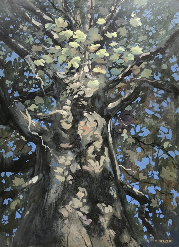 Silvia's Oak by Ernie Marjoram