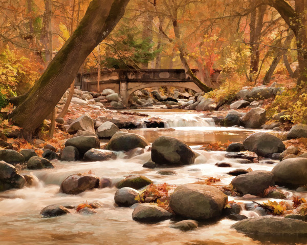 Ashland Creek in Autumn by Vivian McAleavey