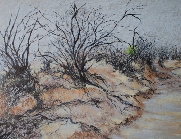 Riverbed Roots by Helen McLuckie